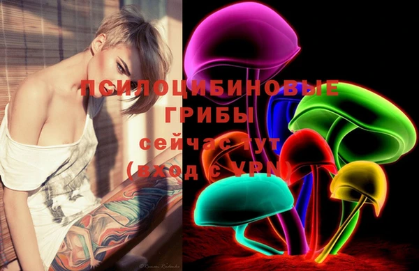 тгк Вязьма
